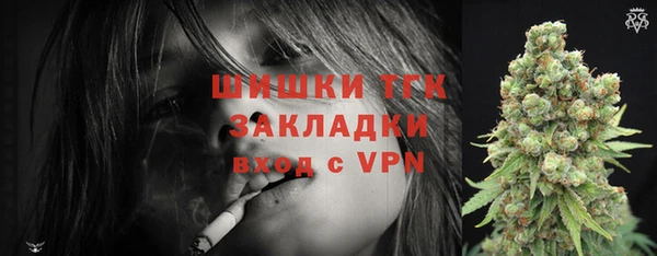 прущие грибы Инсар