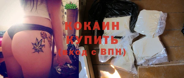 прущие грибы Инсар