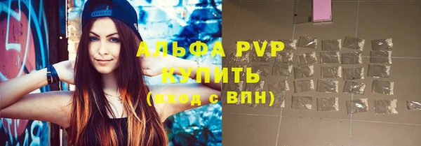 прущие грибы Инсар