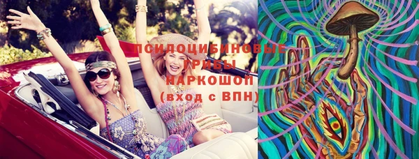 кристаллы Инта
