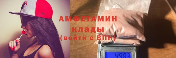 прущие грибы Инсар