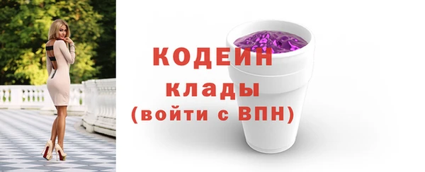 ешки Иннополис