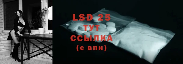 прущие грибы Инсар