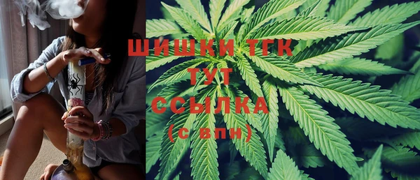 кристаллы Инта
