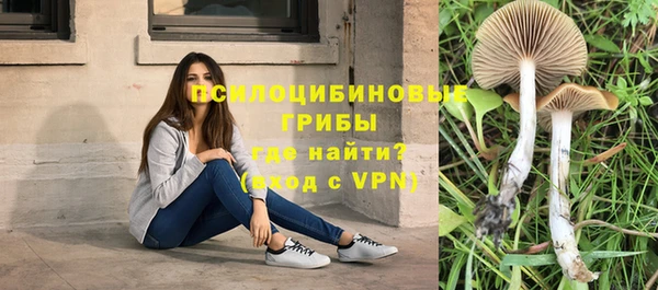 кристаллы Инта