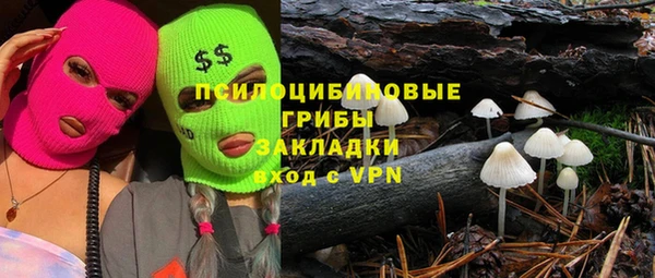 прущие грибы Инсар