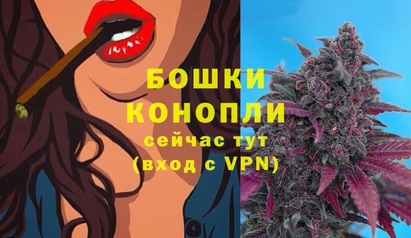кристаллы Инта