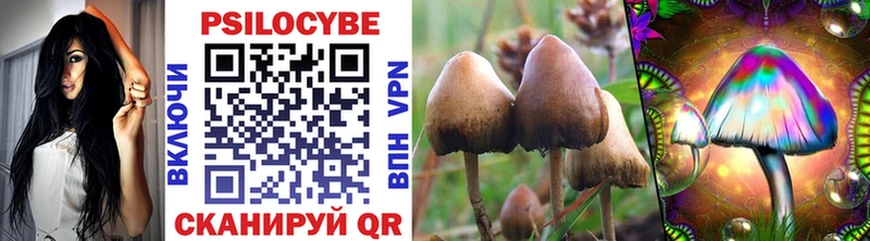 Купить  Гусиноозёрск  Псилоцибиновые грибы Psilocybine cubensis 